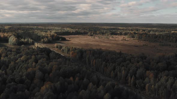 Fields and forest in autumn time in Ural