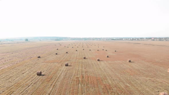 Summer field with rolled haystacks