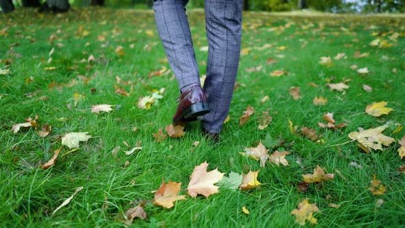 stylish men's feet walk through the autumn foliage