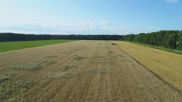 Aerial Drone Footage. Combine Harvester Loading Track on Field