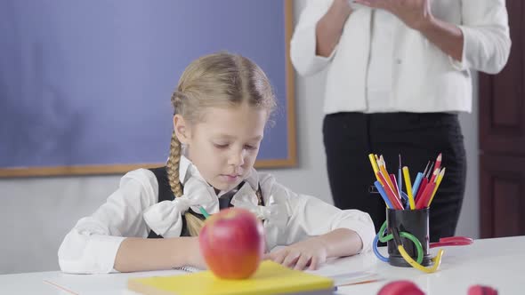 Portrait of Caucasian Girl with Pigtails Writing in Exercise Book As Adult Private Teacher Standing