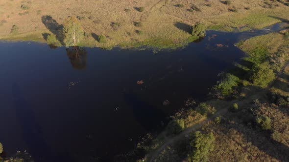 Aerial Fly Over Mirror Like Pond in Summer with green field