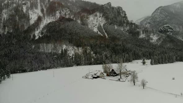 Beautiful view on an Forest with Mountains in Schiederweiher in Upper Austria Drone Video