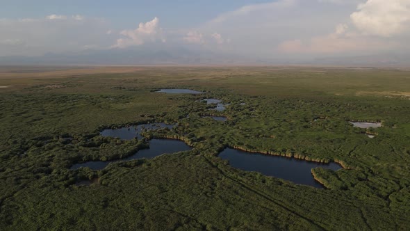 Natural Lake Scenery