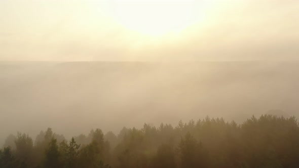 Drone Slowly Flying Over Mysterious Sunrise Foggy Valley Trees and River Covered with Thick Mist on