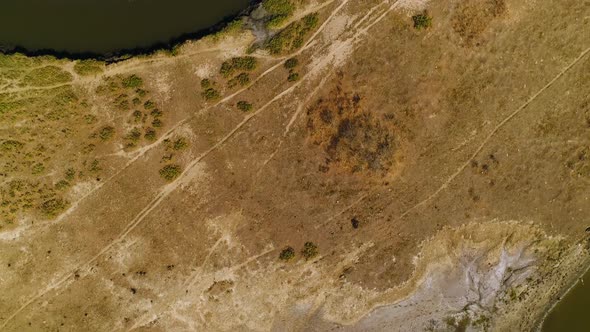 Aerial view above of a serpentine stream with riparian forest, Brazil.