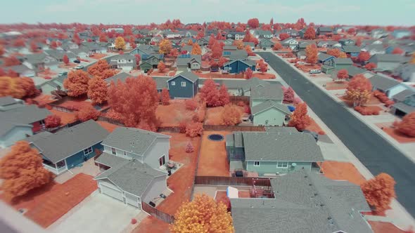 A well watered neighborhood with zombie apocalypse colors due to the near infrared camera turning gr