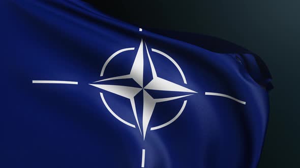 Nato Flag North Atlantic Treaty Organization Sign