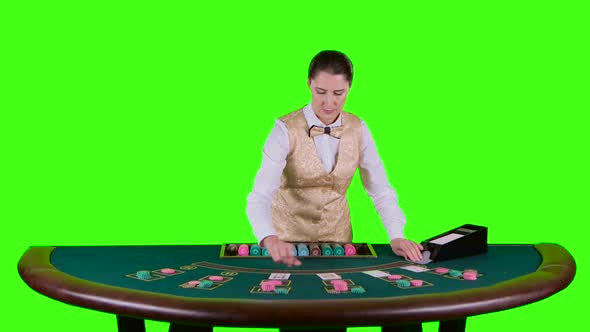 Casino Croupier Standing Behind the Semicircular Table in a White Shirt Takes the Cards From Card