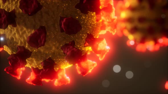 Coronavirus COVID-19 Medical Model alt