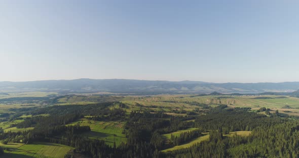 Flying Over the Beautiful Forest Trees. Landscape Panorama