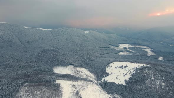 Aerial view of winter landscape with mountain hills covered with evergreen pine forest after alt