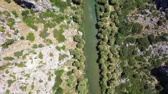 A large valley with many palm trees and a river. Palm Forest Vai, Crete, Greece.