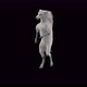 43 White Horse Dancing 4K - VideoHive Item for Sale