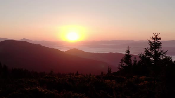 Aerial Drone View. Sunrise or Sunset in the Mountains, Flying Over the Trees in the Sun V2