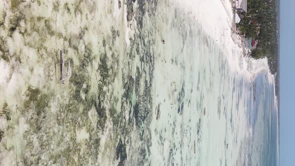 Vertical Video of Low Tide in the Ocean Near the Coast of Zanzibar Tanzania Aerial View