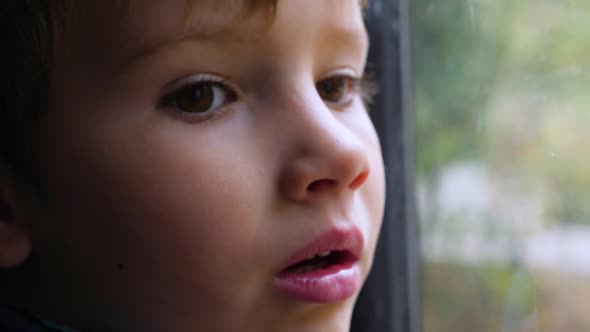 Facial Expression That Shows Absolute Interest of What Is Going on Out of the Window. Travel By Car