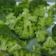 Boiled Organic Broccoli Close Up - VideoHive Item for Sale
