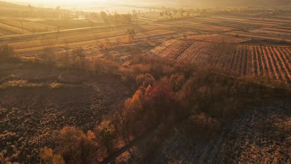 Aerial drone view of the nature of Moldova in autumn. Yellowed vegetation, wide fields, sunset