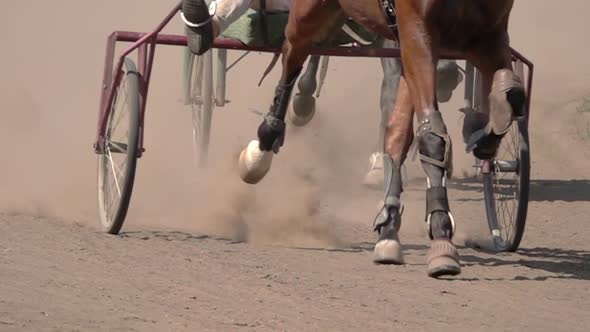 Horse Racing Of The Wagons