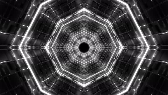 Loop White Colored Background alt