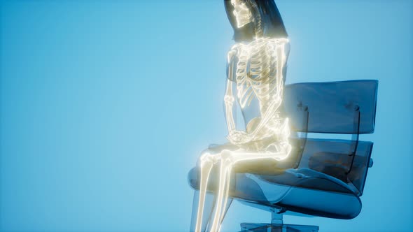 Human Skeleton Radiography Scan