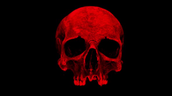 Red Old Human Skull Rotating On Black Loop