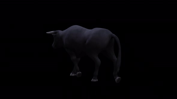 Bull Walk View From Back Side alt