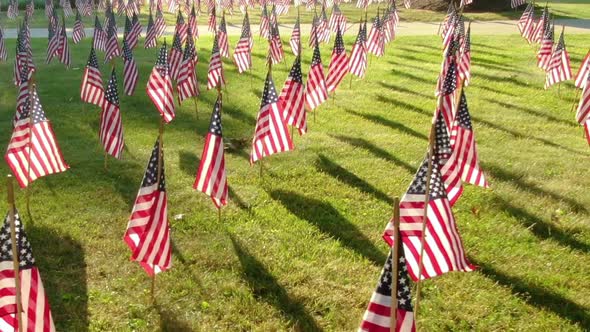 Walking through the rows of American Flags slowly swinging in the wind. Concept of Independence Day