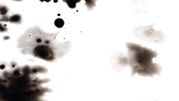 Stock footage of black ink spreading on a white screen