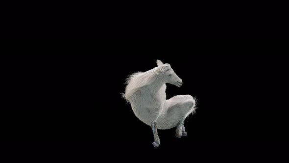47 White Horse Dancing HD alt