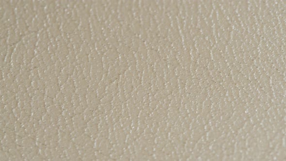 White Leather Closeup Luxury Animal Skin Texture Classic Fabric Background Beige Material