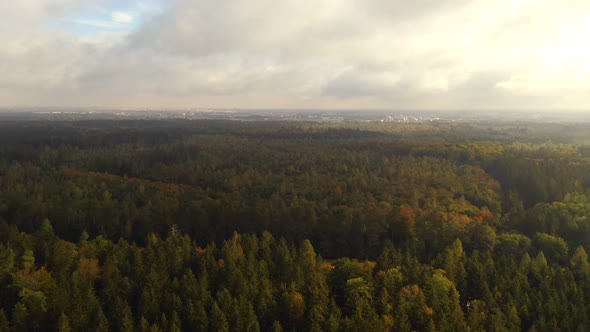 Forest view from a drone after the rain, sun is coming back and shines at the autum colored tree top