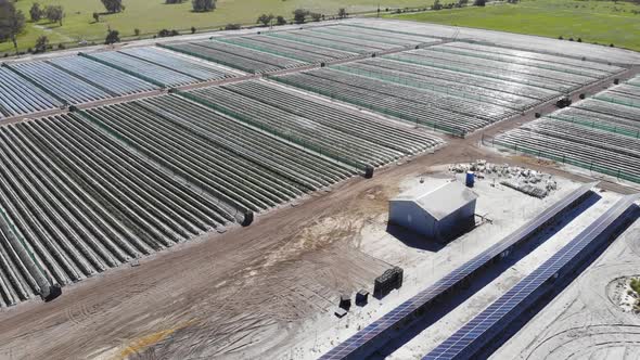 Aerial View of a Strawberry Farm in Australia