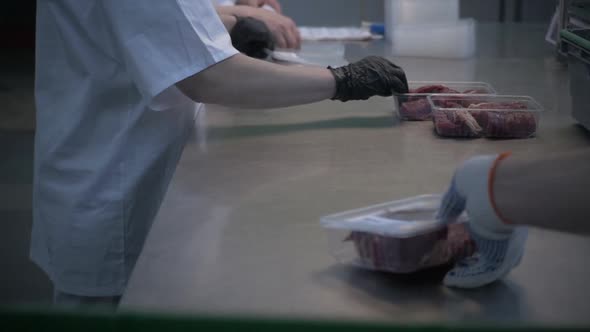 Female Worker Pushed Fresh Raw Beef Meat in Trays on Table in Slaughterhouse