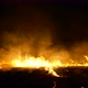 Burning grass of the field at night. - VideoHive Item for Sale