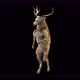 43 Deer Dancing 4K - VideoHive Item for Sale