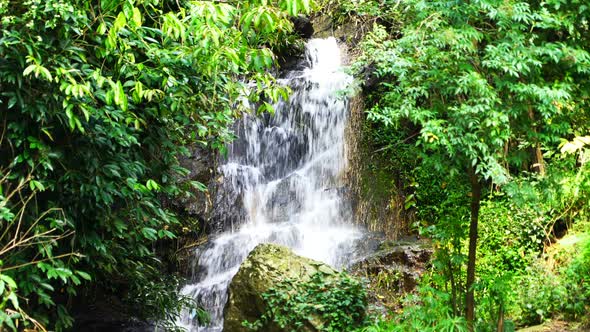 Waterfall in Forest