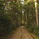 Walk Forest Road - VideoHive Item for Sale