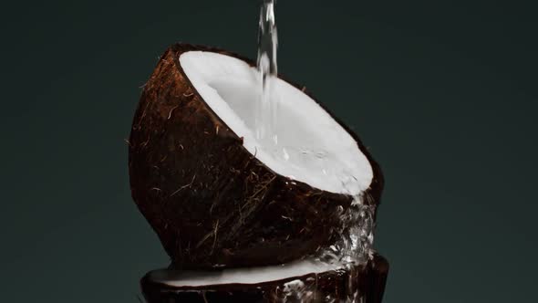 Coconut Covered with Oil, Slow Motion