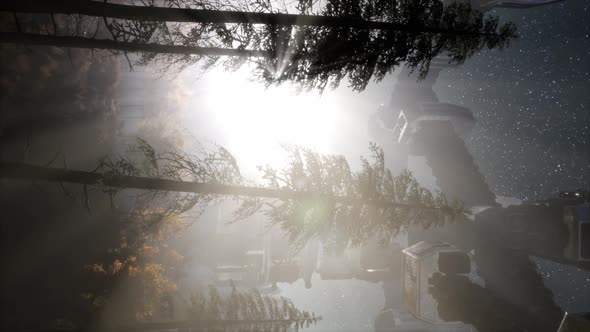 UFO Hovering Over a Forest alt