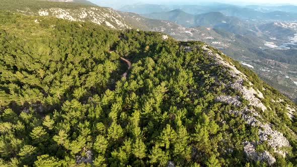 Mountain road in the forest aerial view 4 K