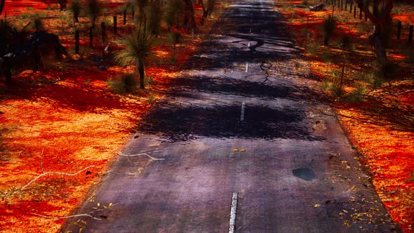 Open Road in Australia with Bush Trees