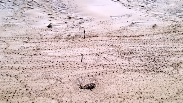 Drone Flying Over Two Boys Seen Walking Along Sand at the Beach