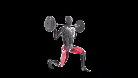 Static Lunges With Barbell