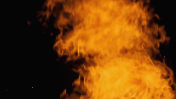 Spurts of Flame. Background of Flames of Fire. Big Bonfire. Slow Motion 240 Fps