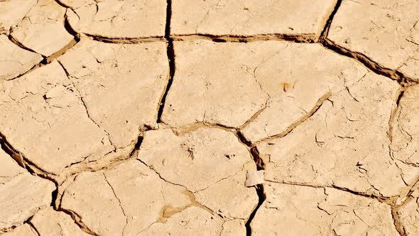 The cracked surface of a dry lake