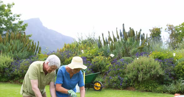 Senior couple gardening together