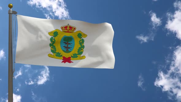 Durango Flag (Mexico) On Flagpole