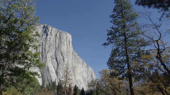 Day In Yosemite Park